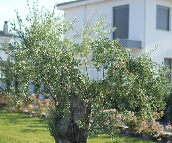 Villa Luxury With Pool *