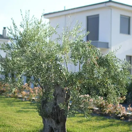 Villa Luxury With Pool *