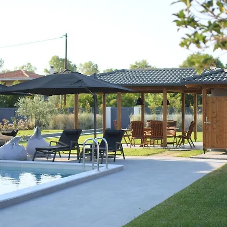 Vila Luxury With Pool Plaka Litochorou