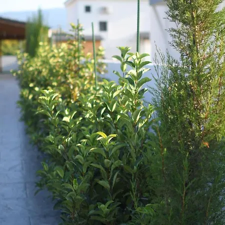 Villa Luxury With Pool