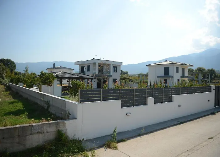 Luxury With Pool 别墅