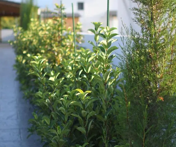 别墅 Luxury With Pool